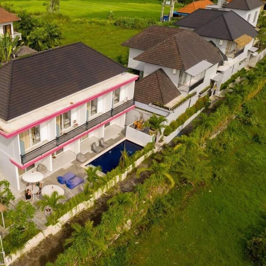 Margarita Surf Hostel Canggu 외부 사진