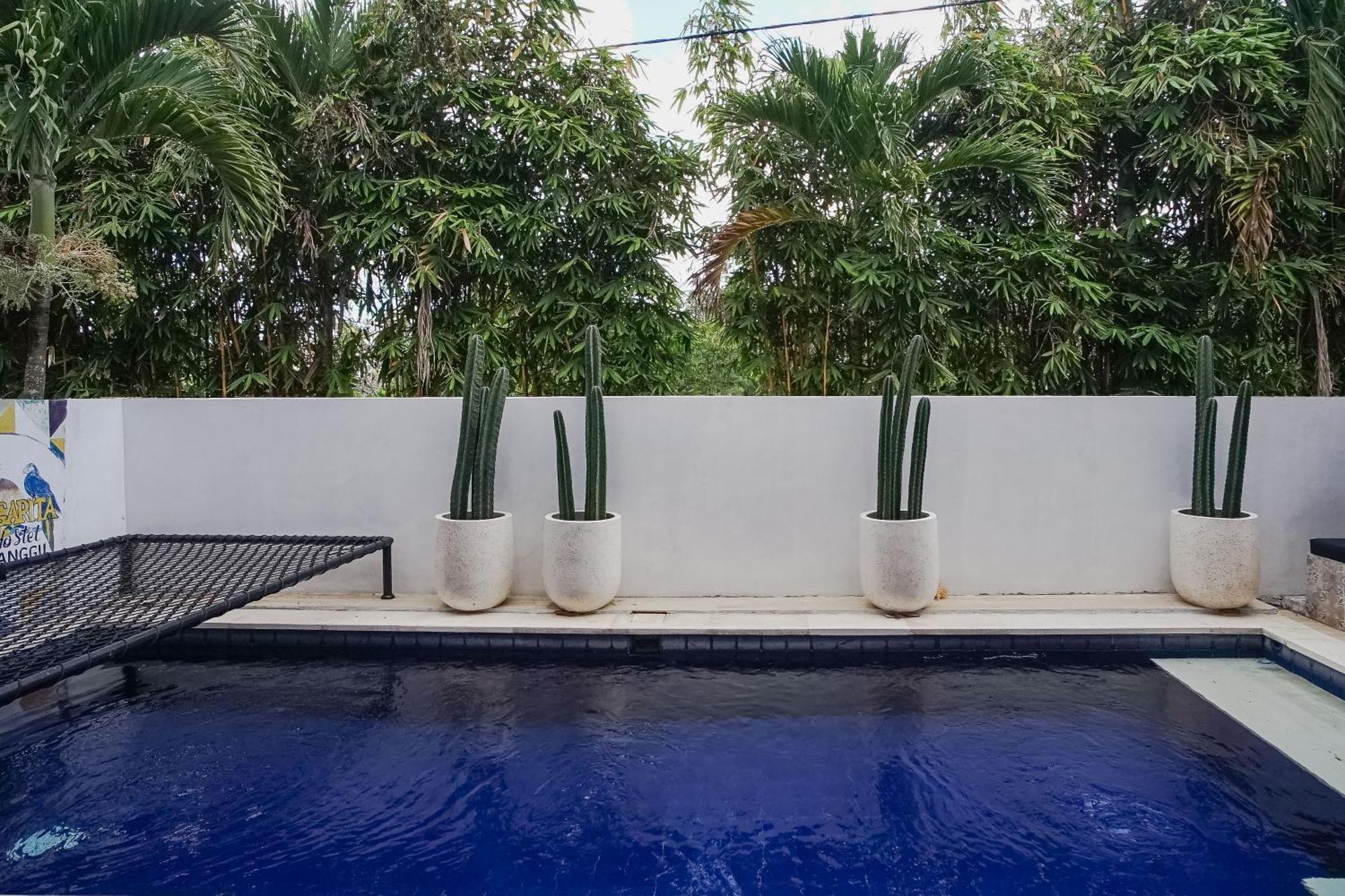 Margarita Surf Hostel Canggu 외부 사진